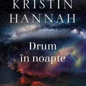 Drum in noapte