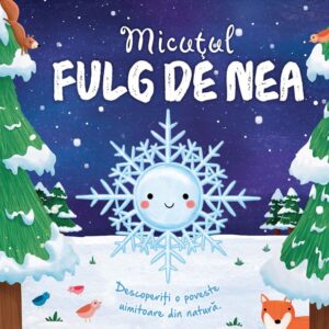 Micutul fulg de nea