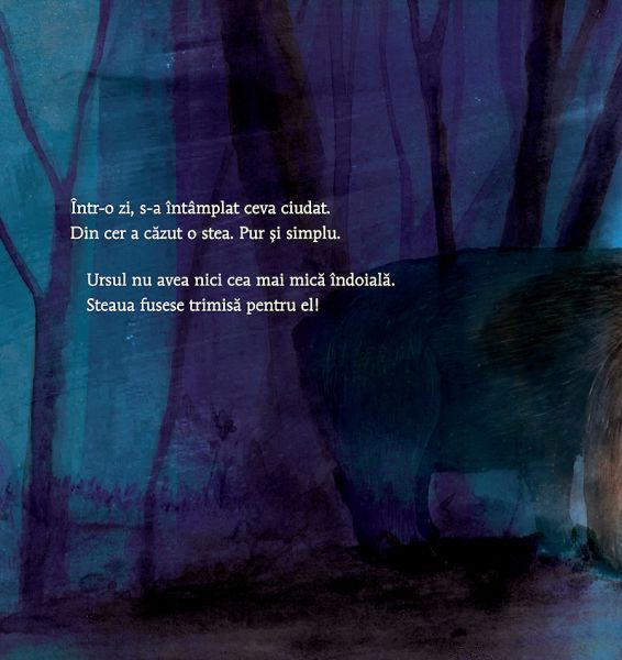 O stea pentru fiecare - imagine 3