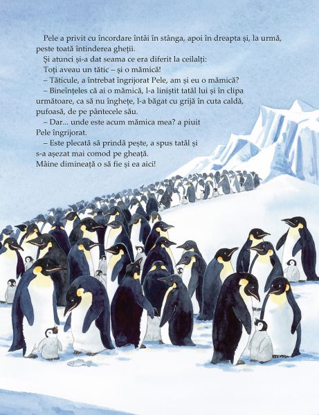Pele, micul pinguin - imagine 3