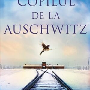 Copilul de la Auschwitz - Lily Graham