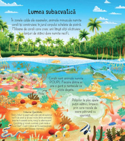 Afla totul despre un recif de corali (Usborne) - imagine 2