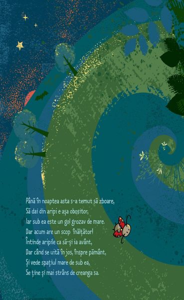 Mica bufnita zboara spre stele - imagine 2