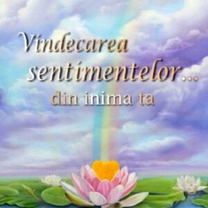 Vindecarea sentimentelor... din inima ta - Karol K. Truman