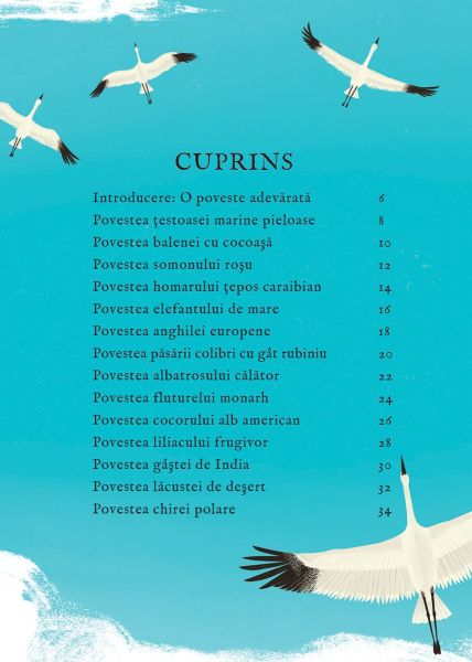 Calatorim atat de departe... (Quatro) - imagine 2