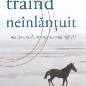 Traind neinlantuit mai presus de situatia umana dificila - Michael A. Singer