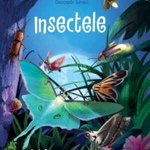 Insectele (Usborne)