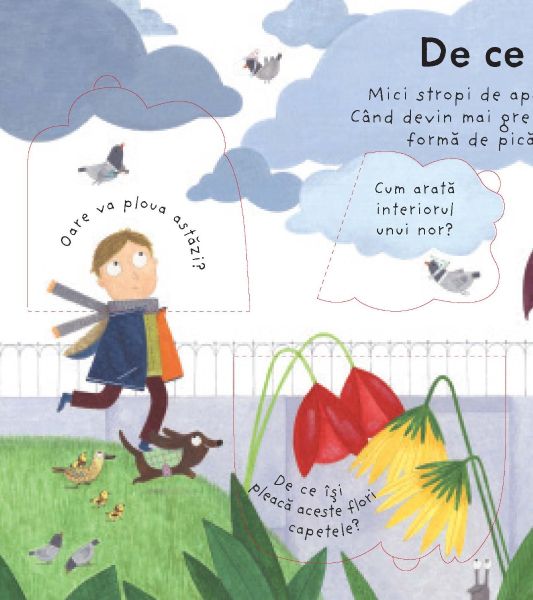 De unde vine ploaia? (Usborne) - imagine 2