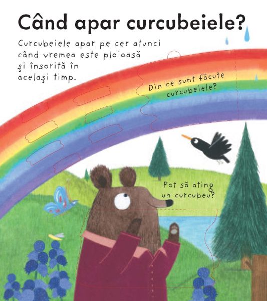 De unde vine ploaia? (Usborne) - imagine 4