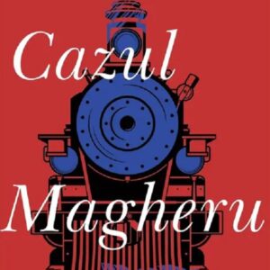Cazul Magheru - Mihail Drumes