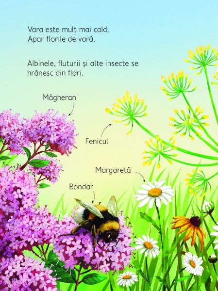 Anotimpurile (Usborne) - imagine 3